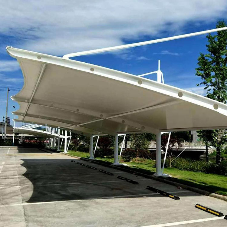 林甸县膜结构汽车棚