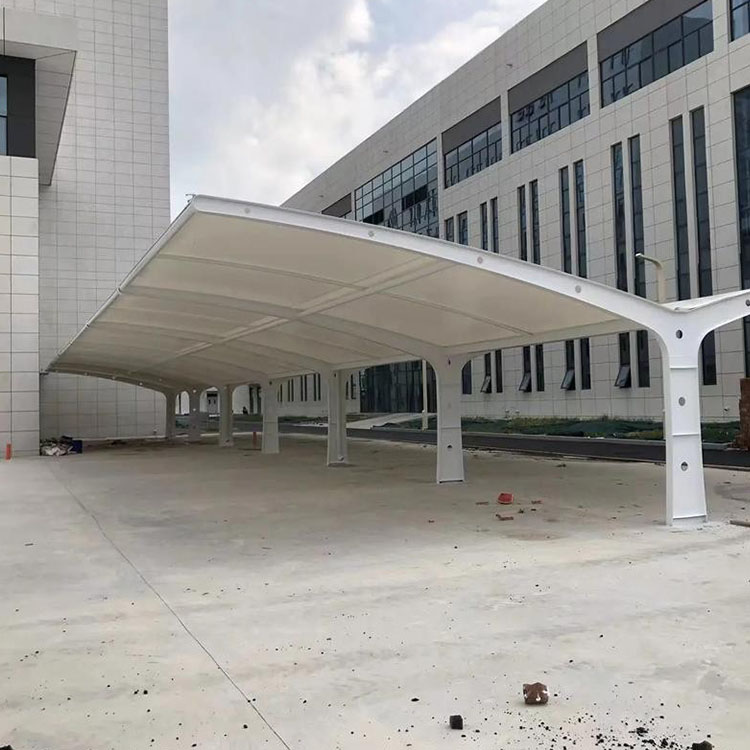 林甸县工程案例